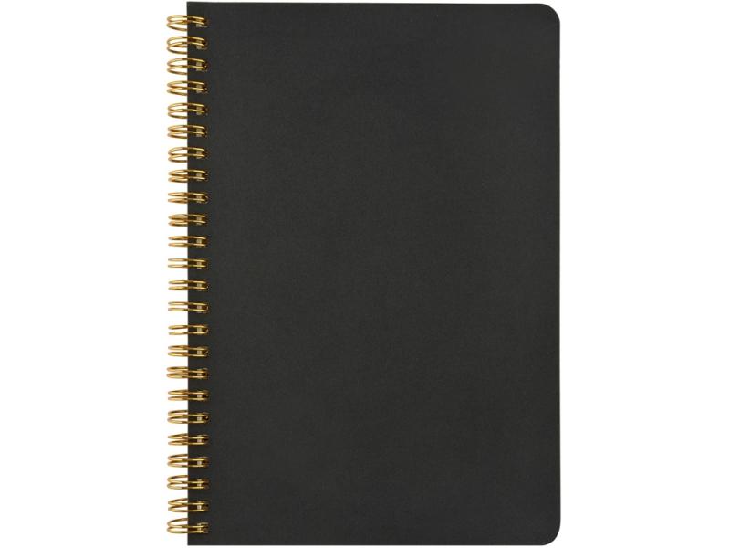 Бизнес тетрадь А5 Pragmatic