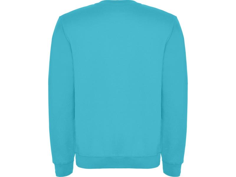 Свитшот с начесом Clasica детский