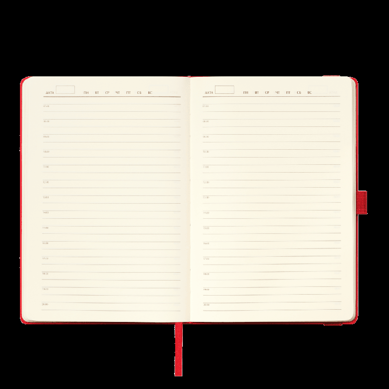 Ежедневник Alpha недатированный, 