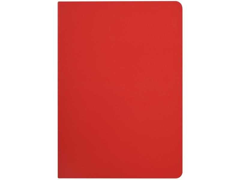 Бизнес-тетрадь А5 Pragmatic Contrast