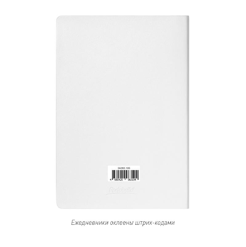 Ежедневник Galaxy недатированный, гибкая обложка, срез голограф. фольга