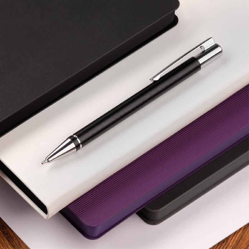 Шариковая ручка Регата (Regatta)