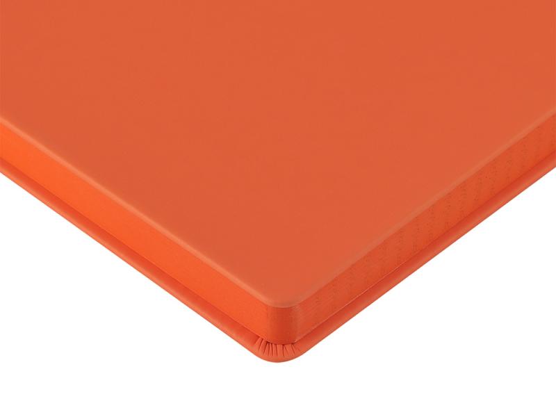 Ежедневник А5 датированный Megapolis Color на 2026 год