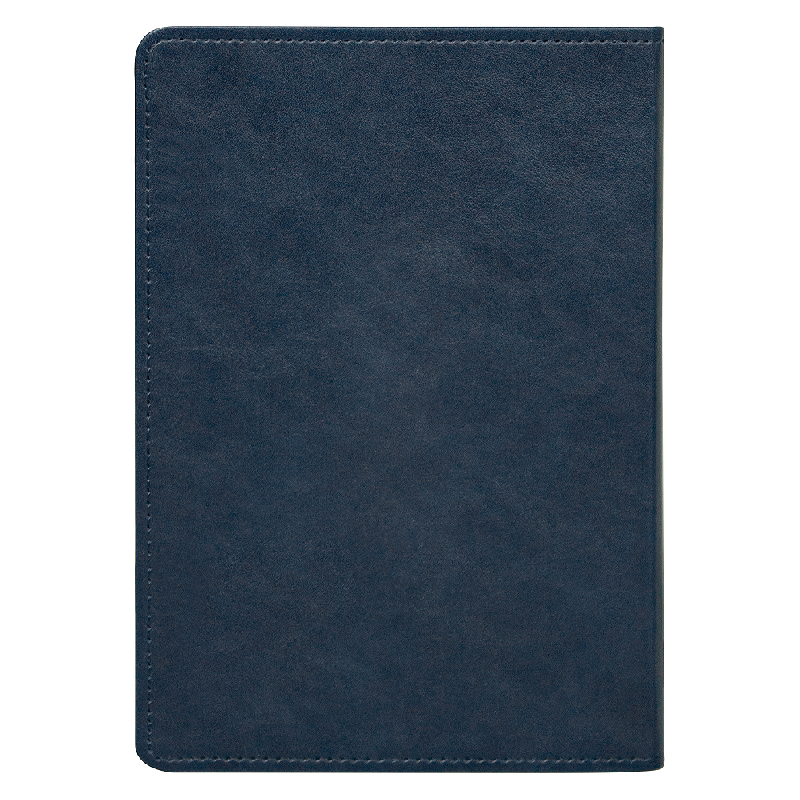 Ежедневник Urban Elegiya Ausone A5,  с золотистым, недатированный, в полугибкой обложке