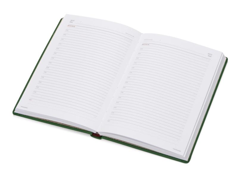 Ежедневник недатированный А5 Velvet