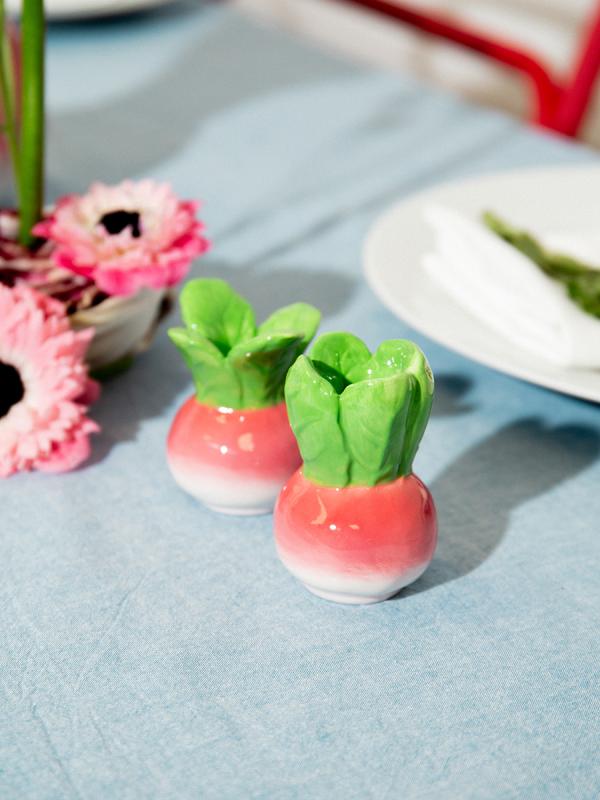 Набор из солонки и перечницы radish