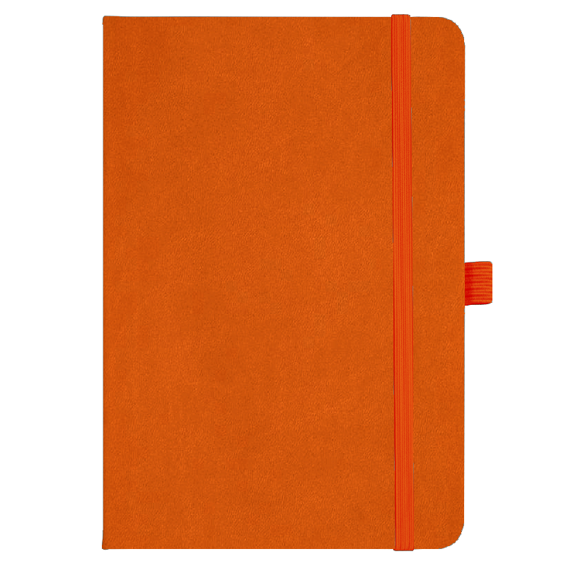 Блокнот Forest  Alfa Polo Latte А5, недатированный, в твердой обложке,  с резинкой и петлей для ручки