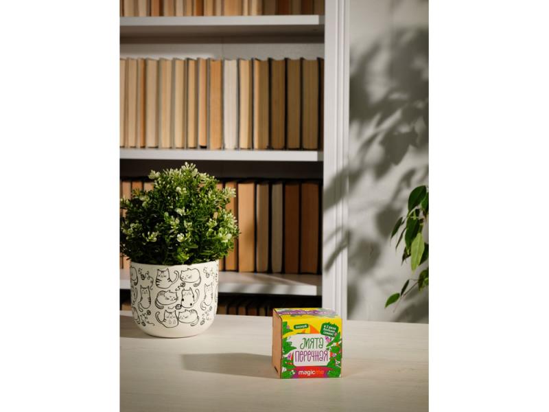 Набор для выращивания Мята