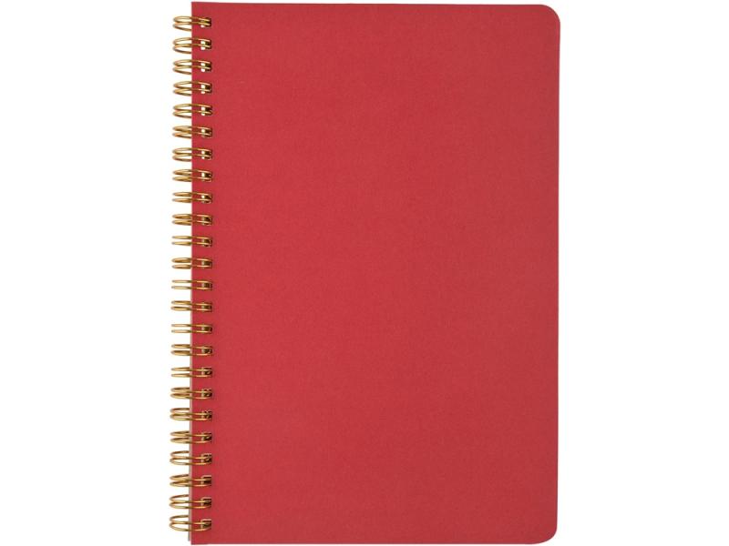 Бизнес тетрадь А5 Pragmatic