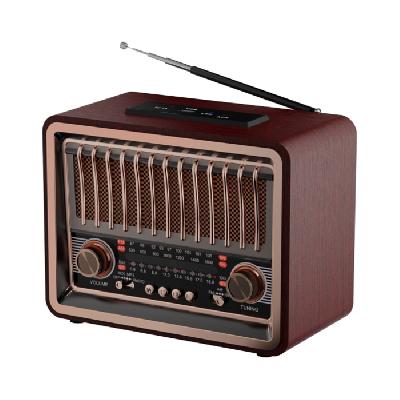 Радиоприемник-колонка Ritmix RPR-089