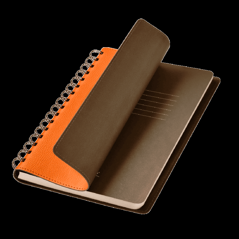 Ежедневник Vista недатированный, 