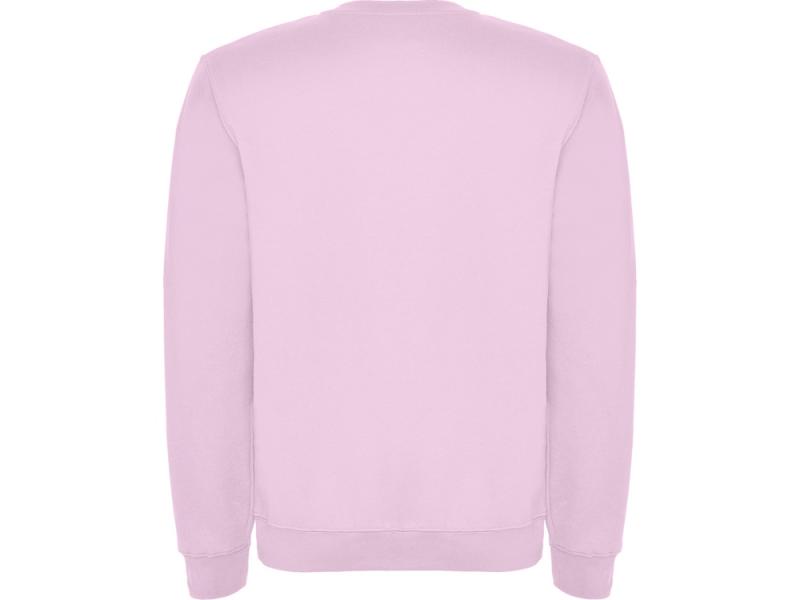 Свитшот с начесом Clasica детский