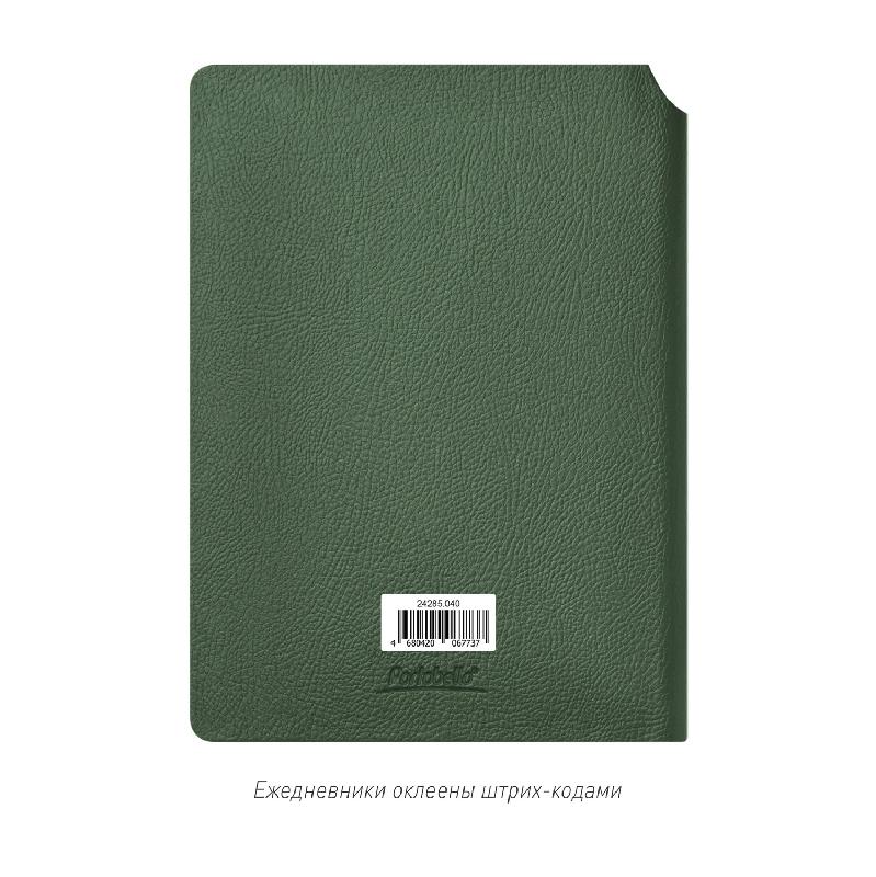 Ежедневник Molto недатированный