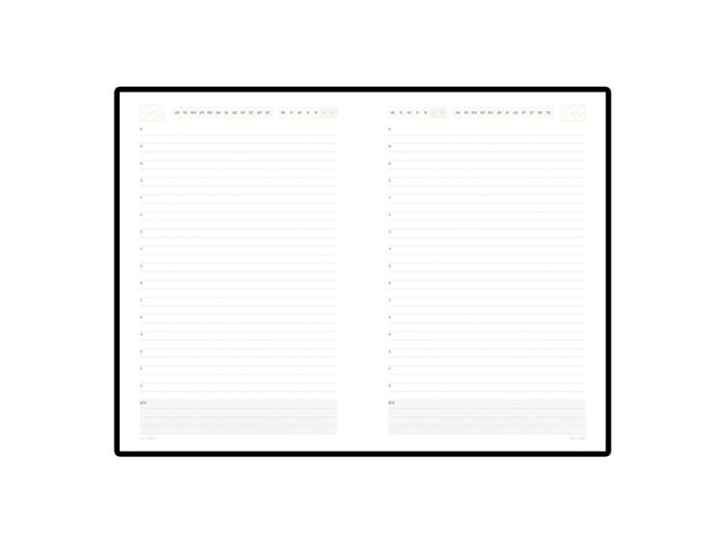 Ежедневник недатированный А5 Mercury