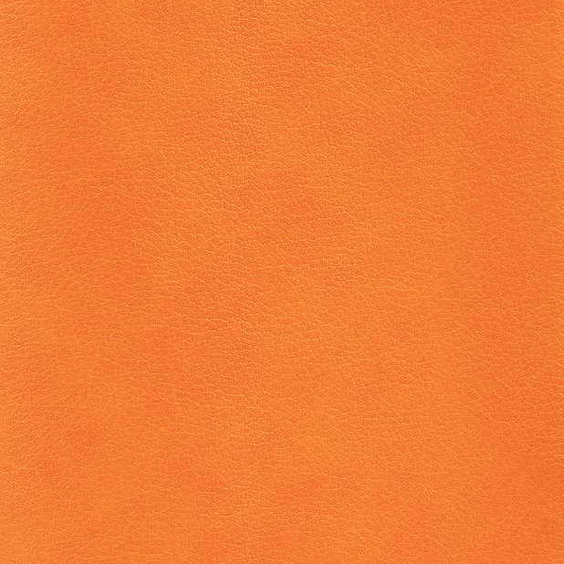 Ежедневник Flexy Asstra Petrus A5, недатированный, в гибкой обложке