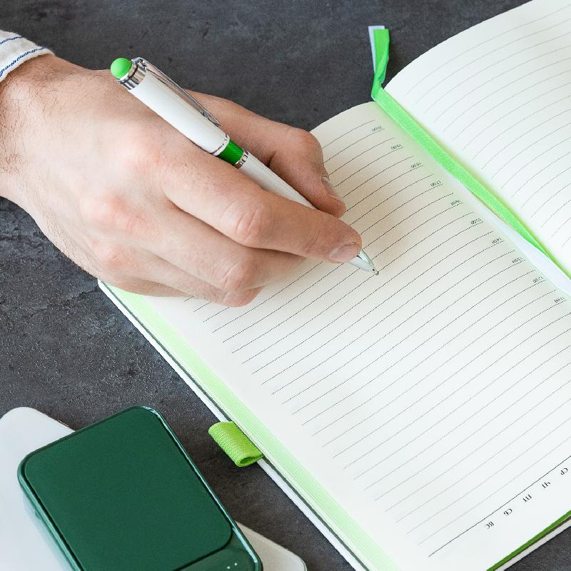 Шариковая ручка Arctic, 