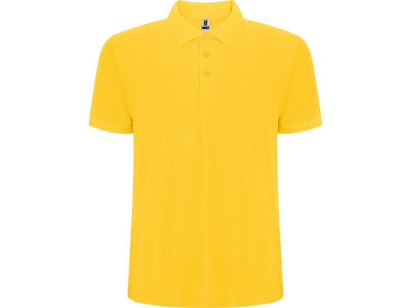 Рубашка поло Pegaso мужская