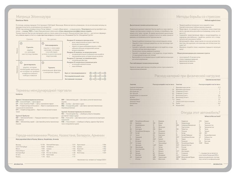 Ежедневник А5 датированный Megapolis Color на 2026 год