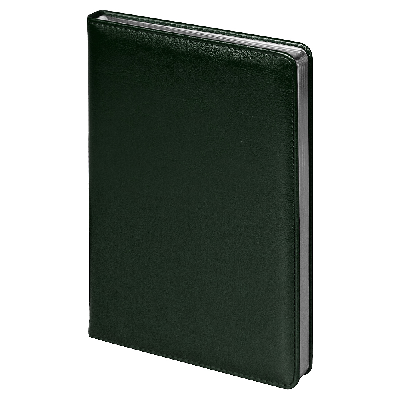 Ежедневник City Nebraska Tennessee A5, недатированный,  с серебристым