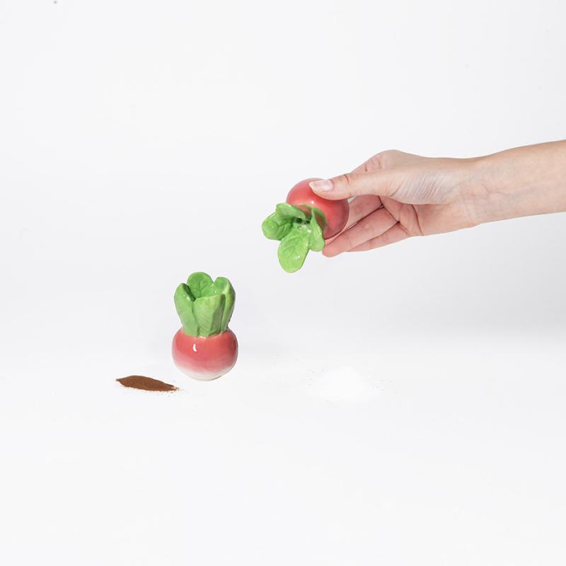 Набор из солонки и перечницы radish