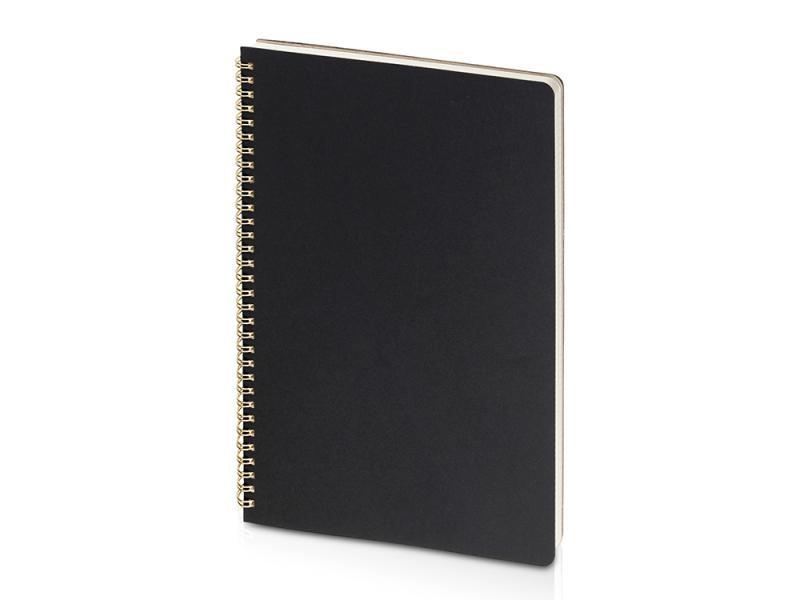 Бизнес-тетрадь А4 Pragmatic