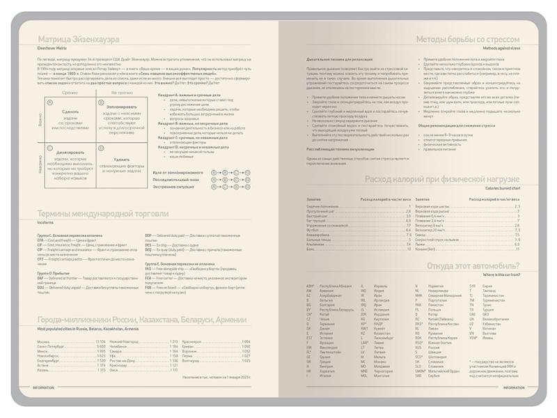 Ежедневник А5 датированный Megapolis Color на 2026 год