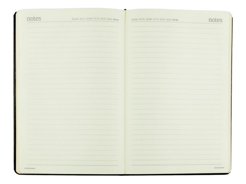 Ежедневник недатированный А5 Megapolis