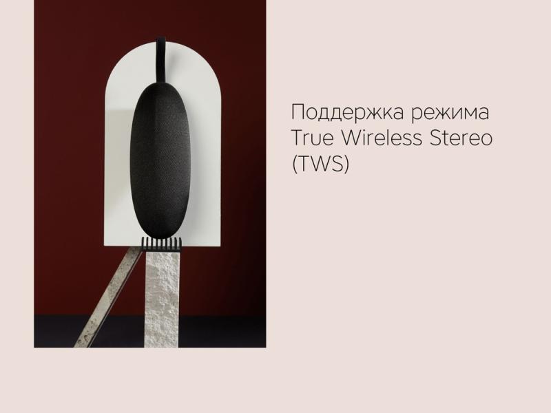 Портативная колонка Mysound Onyx 2C