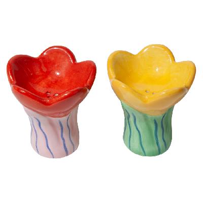 Набор из солонки и перечницы