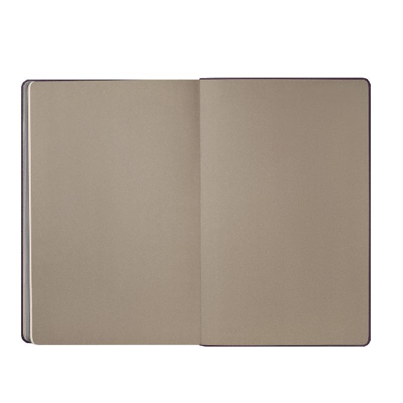 Ежедневник Рейн (Rain) недатированный, (без упаковки, без стикера)