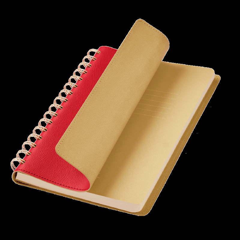 Ежедневник Vista недатированный, 