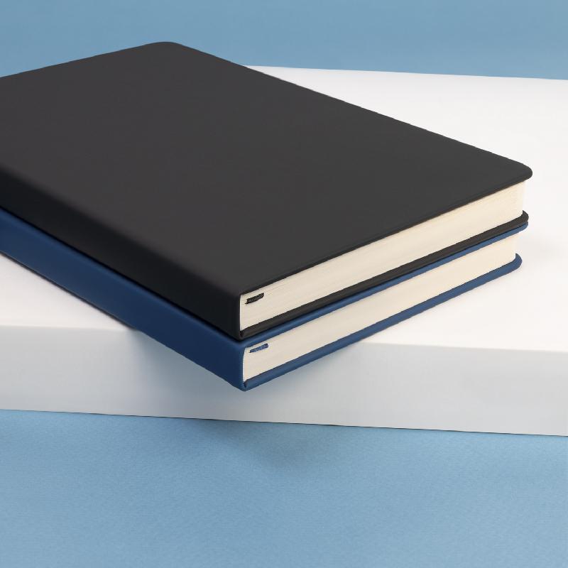 Ежедневник Альфа Битубук (Alpha BtoBook) недатированный,  (без резинки, без упаковки, без стикера)