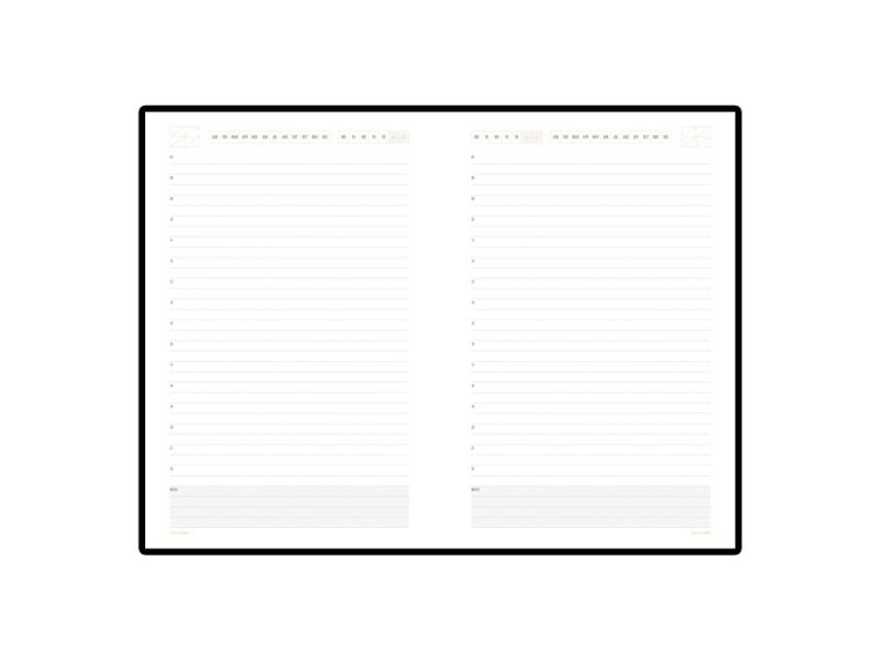 Ежедневник недатированный А5 Mercury