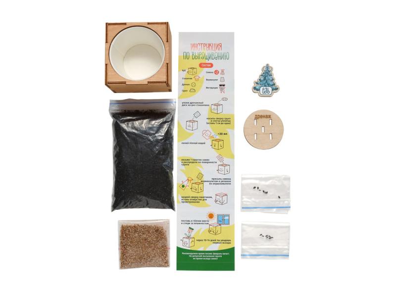 Набор для выращивания Ель Голубая