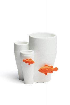 Держатель зубной щетки Coral