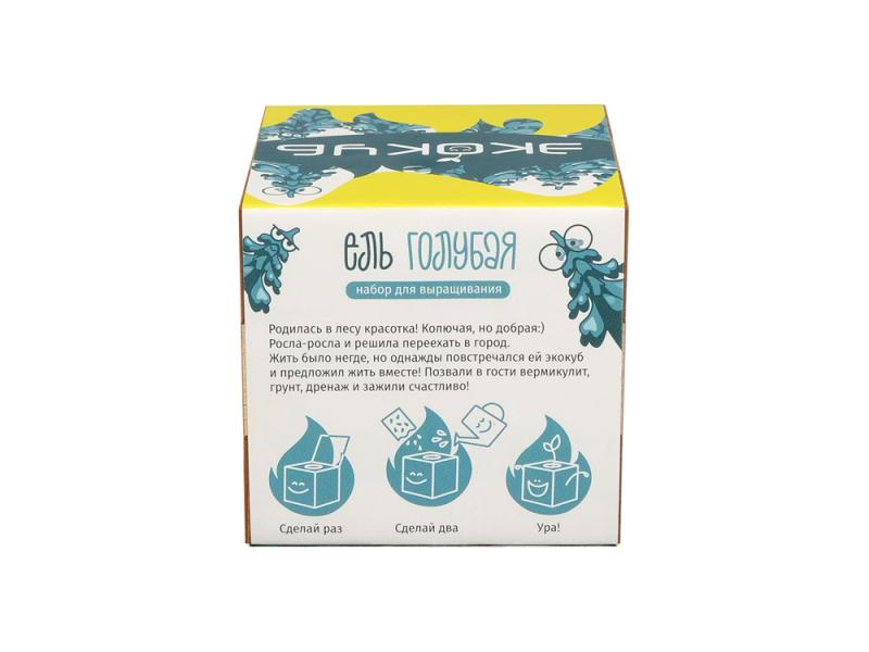 Набор для выращивания Ель Голубая