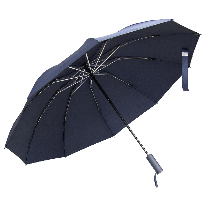 Зонт складной автоматический обратного сложения Forest Liverpool Reverse Safeclosing, диаметр 117 см, 10 панелей, с плавным закрытием, в подарочной коробке