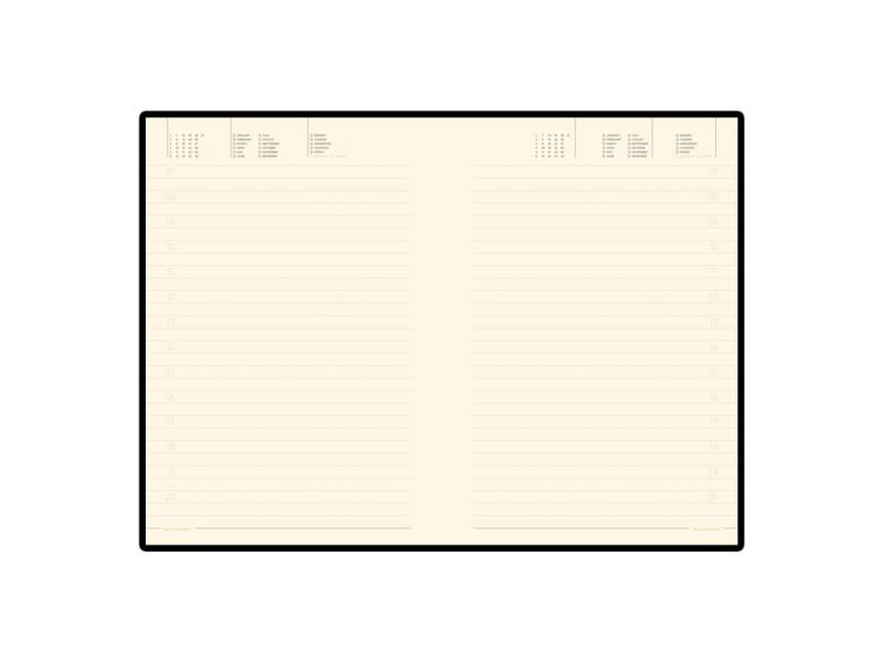 Ежедневник недатированный А5 Trend