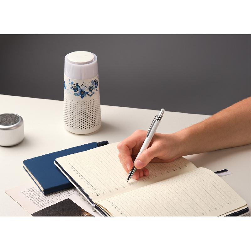 Шариковая ручка Леви (Levi)