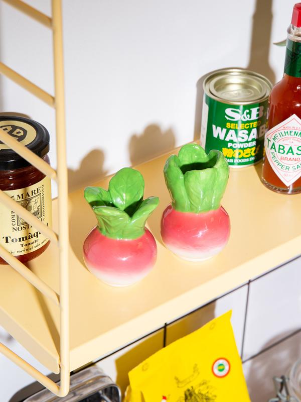 Набор из солонки и перечницы radish