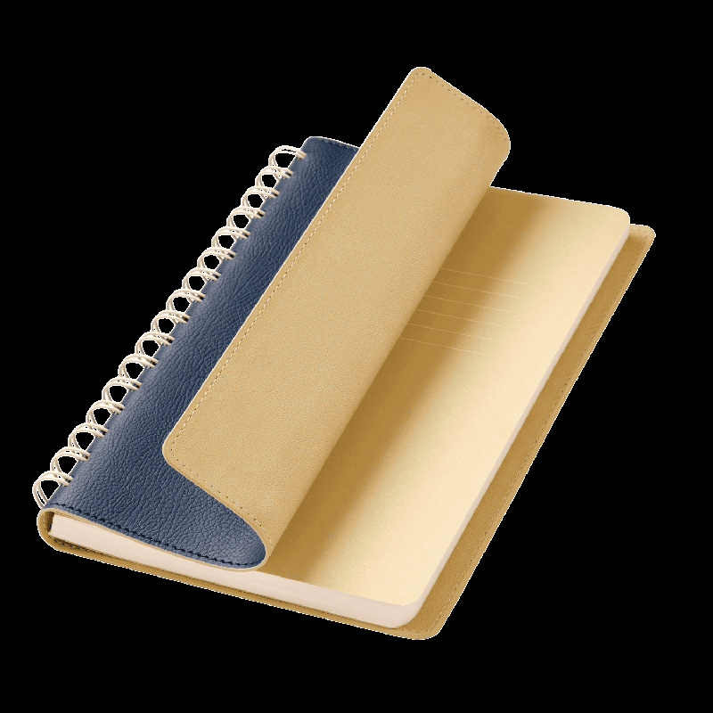 Ежедневник Vista недатированный, 