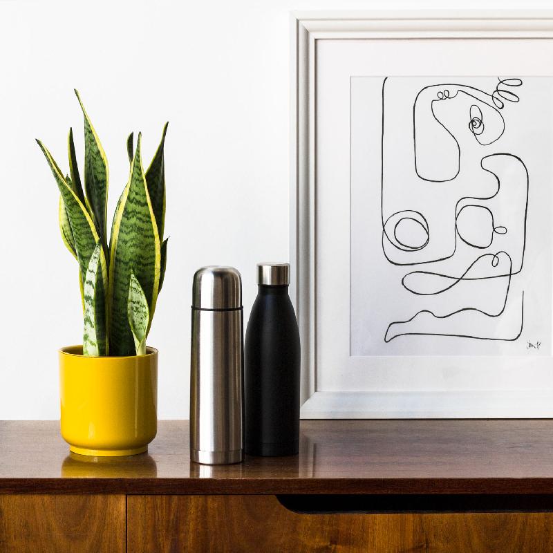 Термобутылка вакуумная герметичная Fresco