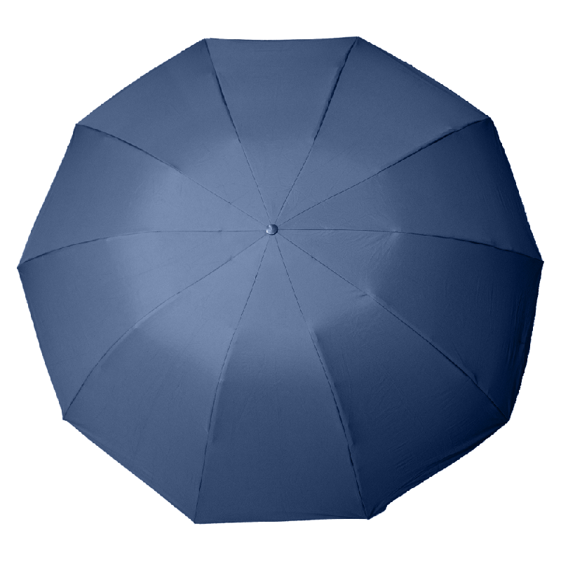 Зонт складной автоматический Forest Jumbo Reverse диаметр 133 см, 10 панелей, в подарочной коробке