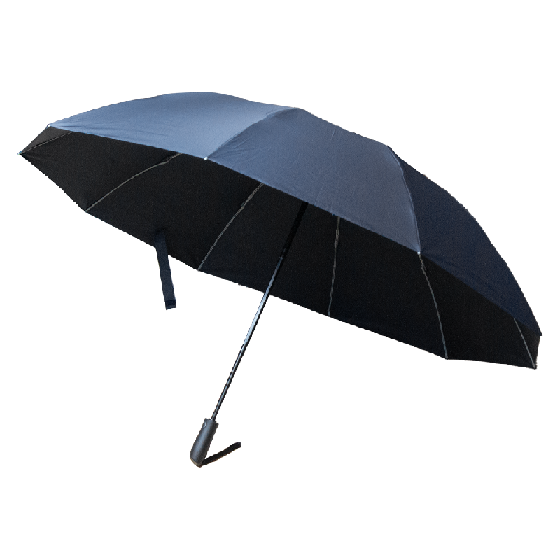 Зонт складной автоматический Forest Jumbo Reverse диаметр 133 см, 10 панелей, в подарочной коробке