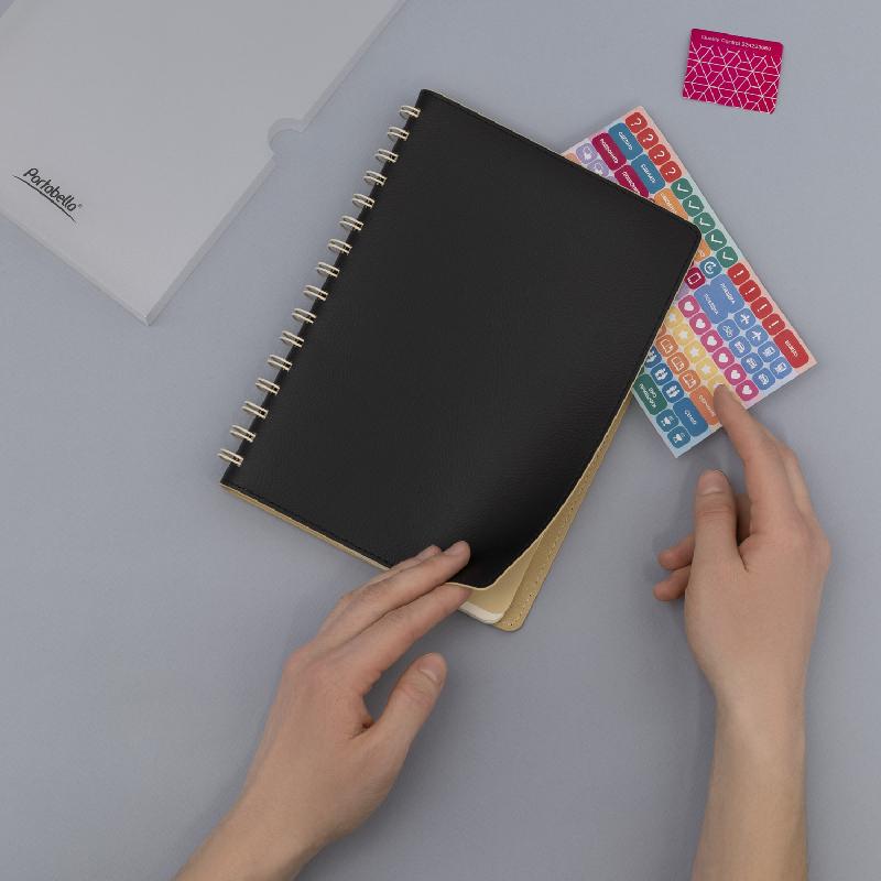 Ежедневник Vista недатированный, 