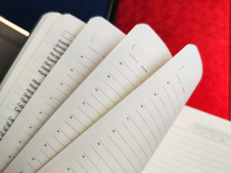 Ежедневник недатированный А5 Bridge