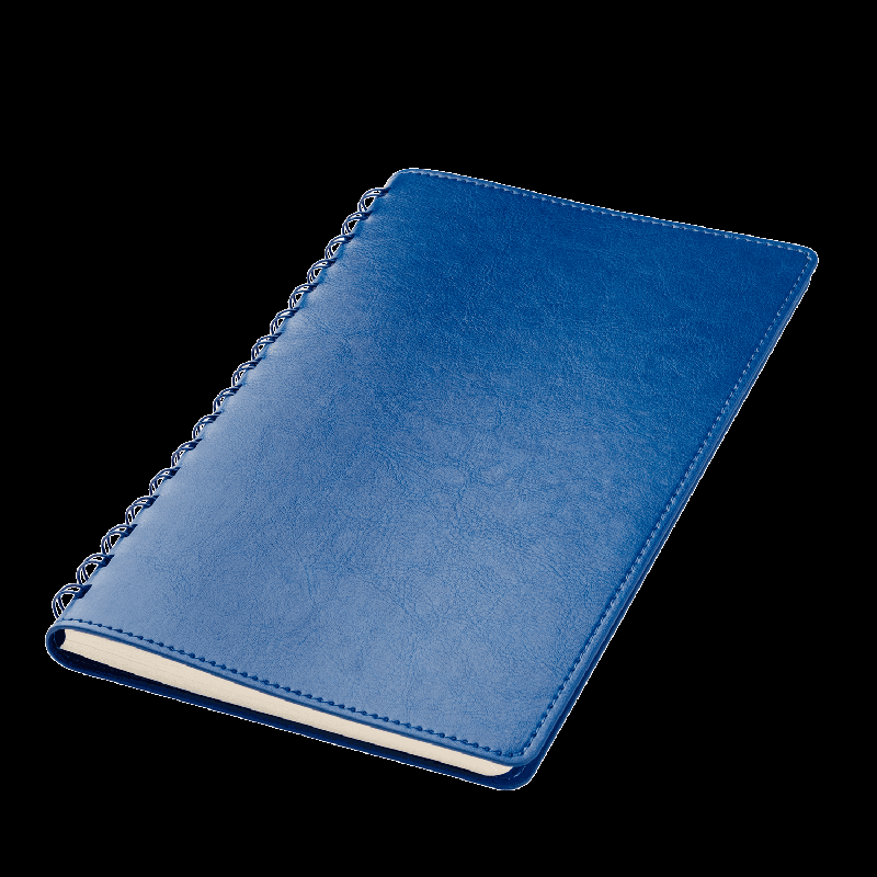 Ежедневник Vista Neo недатированный, 