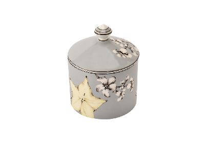 Свеча СNDL 4 BER