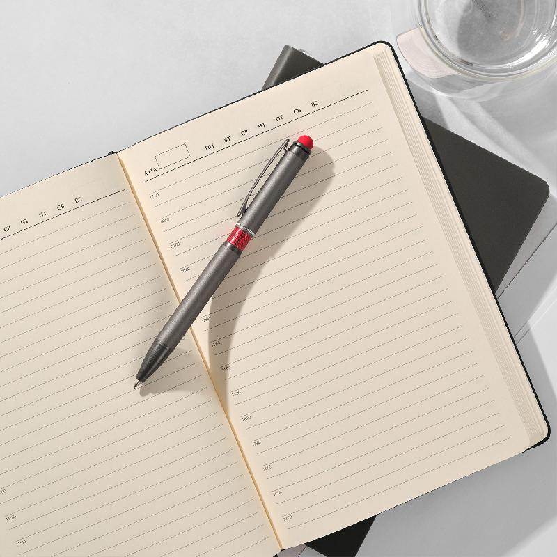 Шариковая ручка АйПи Хамелеон (IP Chameleon)