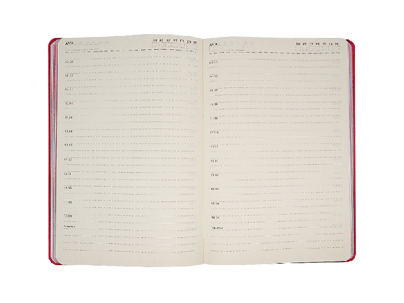 Ежедневник Flexy Asstra Petrus A5, недатированный, в гибкой обложке